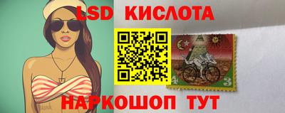 СК Шелехов