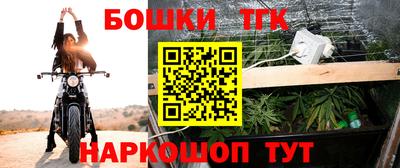 СК Шелехов