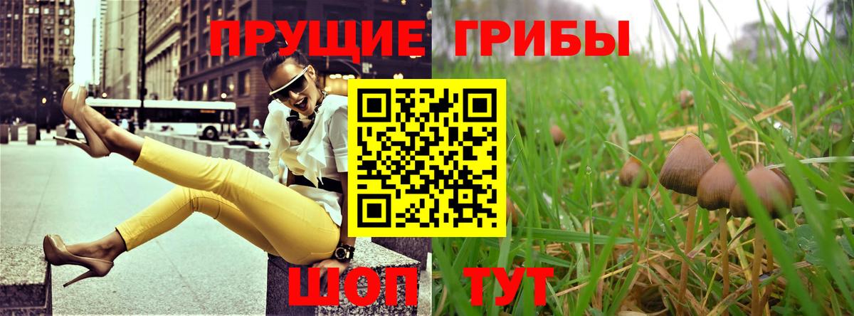 Заречный  Псилоцибиновые грибы GOLDEN TEACHER  Вход с VPN  Галлюциногенные грибы мицелий 